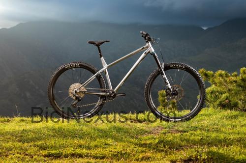Commencal Meta HT AM 29 Race ficha técnica y opiniones